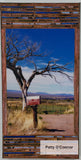 Mailbox High Road To Taos (12 X 24)