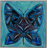 Transformation Four, Blue Butterfly, 12 x 12 x1.5