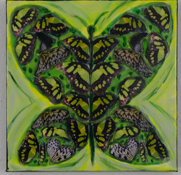 Transformation Two, Green Butterfly, 12 x 12 x 1.5