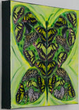 Transformation Two, Green Butterfly, 12 x 12 x 1.5