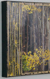 Yellow Aspens, 24 x12 x1.5