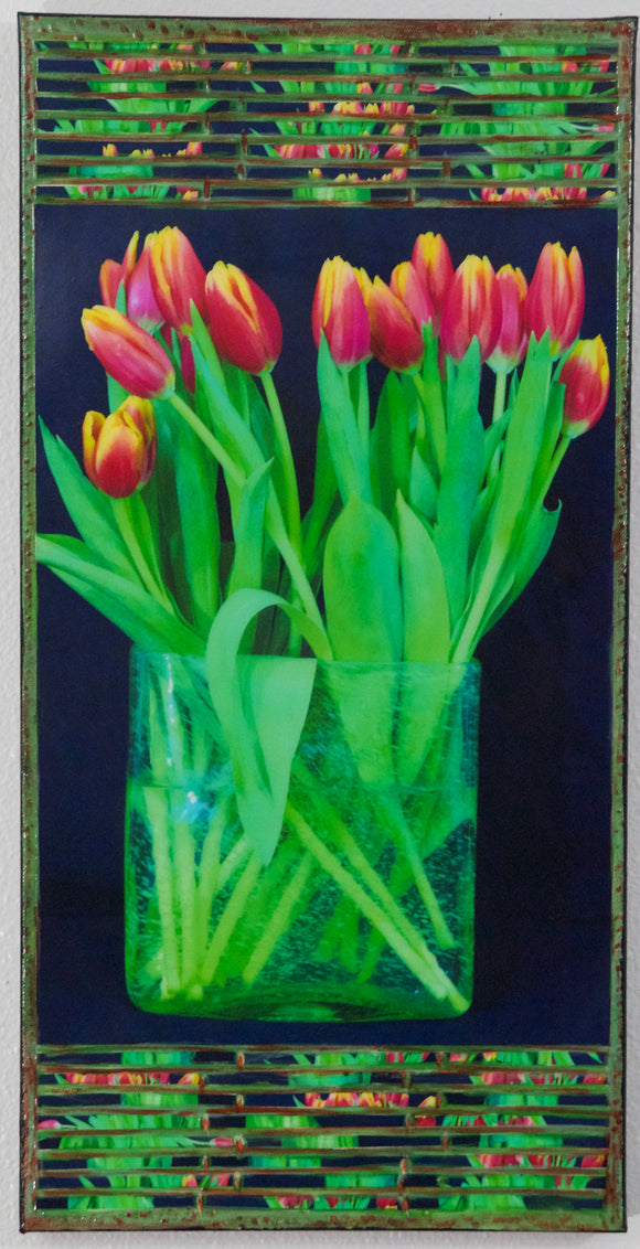 Red and Yellow Tulips against Black, 12x24
