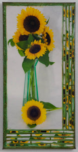 Five Sunflowers, Green vase, White background. 10 x 20 x 1.5