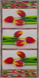 Three Single Tulips on White, 12 x 24