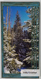 Snow On Pinions And Aspens (10X20)