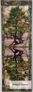 Tent Rocks Tree Reflection (12 X 36 .875)