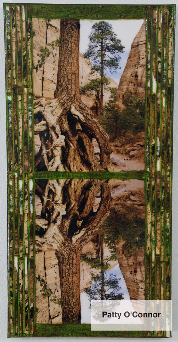 Tent Rocks tree roots reflection (12 x 24) – pattyspieces